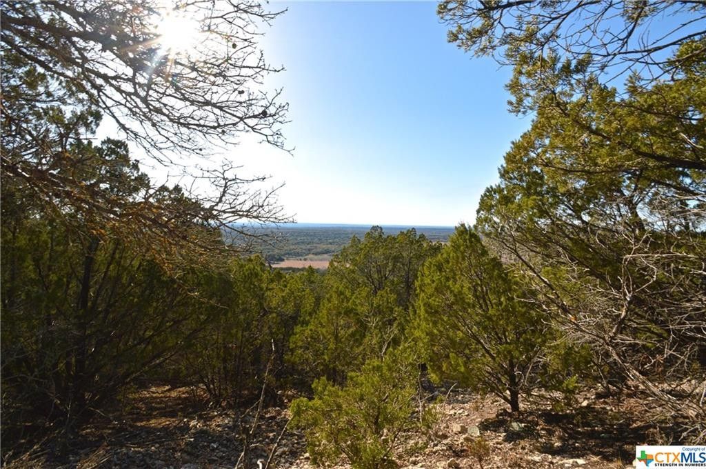 Goldthwaite, Mills County, TX Farms and Ranches for sale Property ID