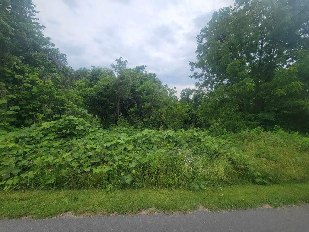 Doran, Tazewell County, VA Farms and Ranches for sale Property ID