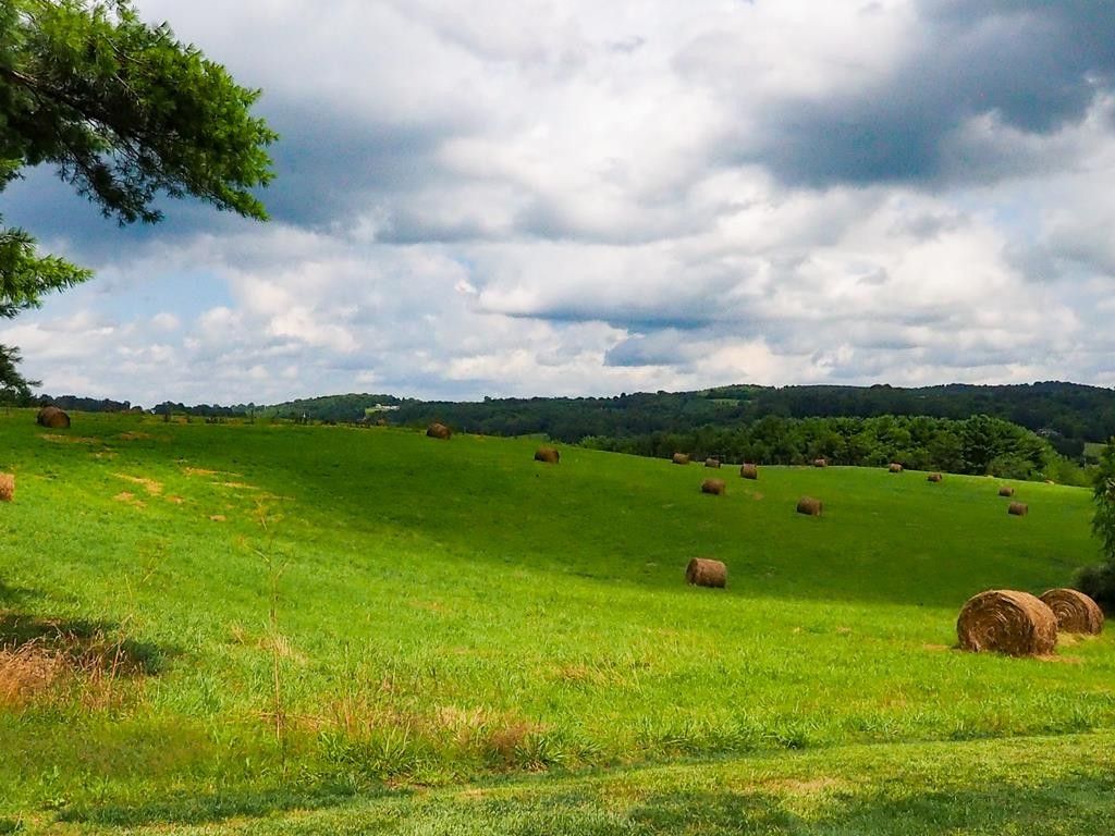 Hillsville, Carroll County, VA Farms and Ranches for sale Property ID