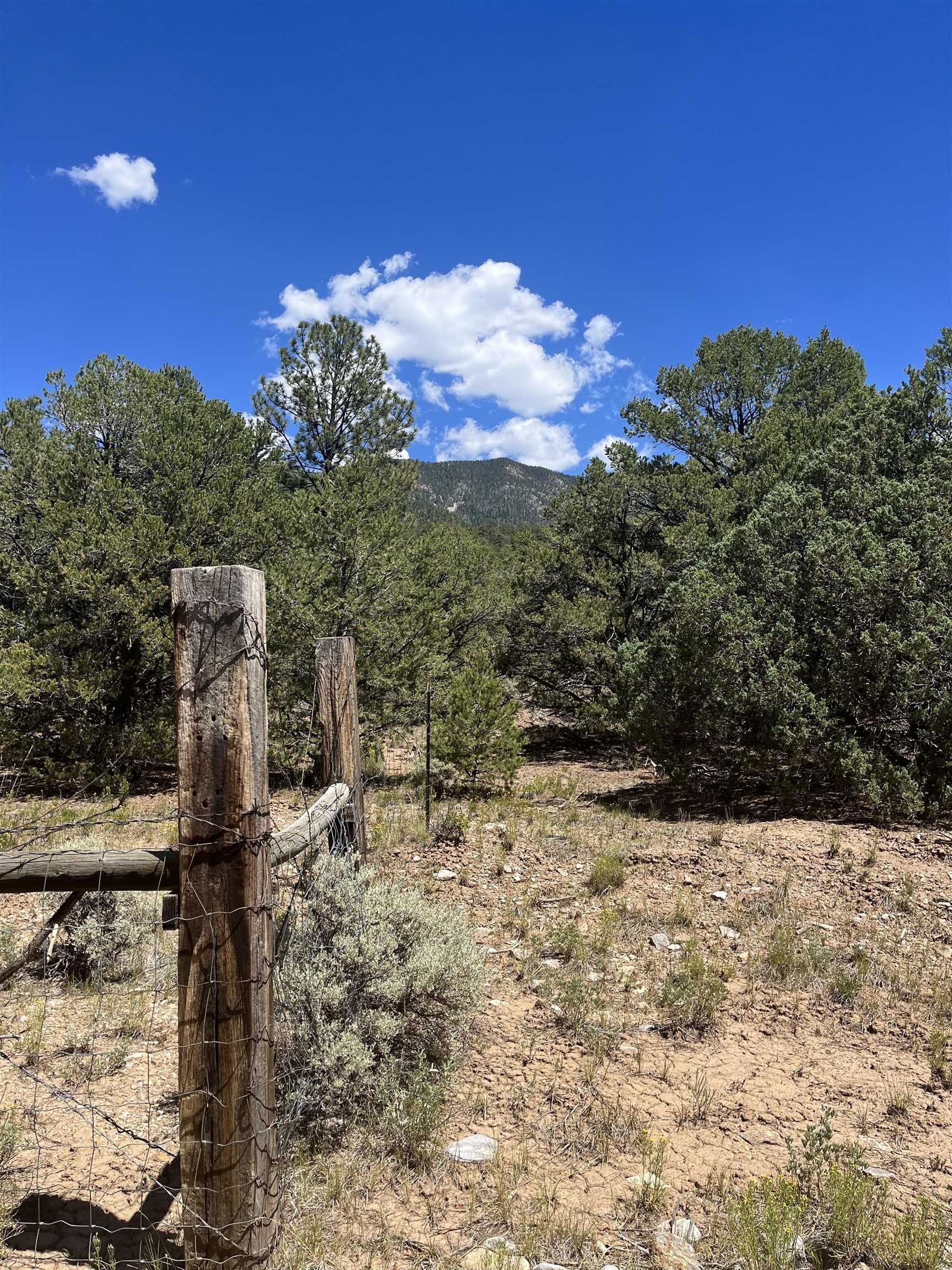 Questa, Taos County, NM Undeveloped Land, Homesites for sale Property