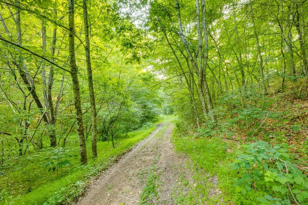 Marion, Smyth County, VA Farms and Ranches for sale Property ID