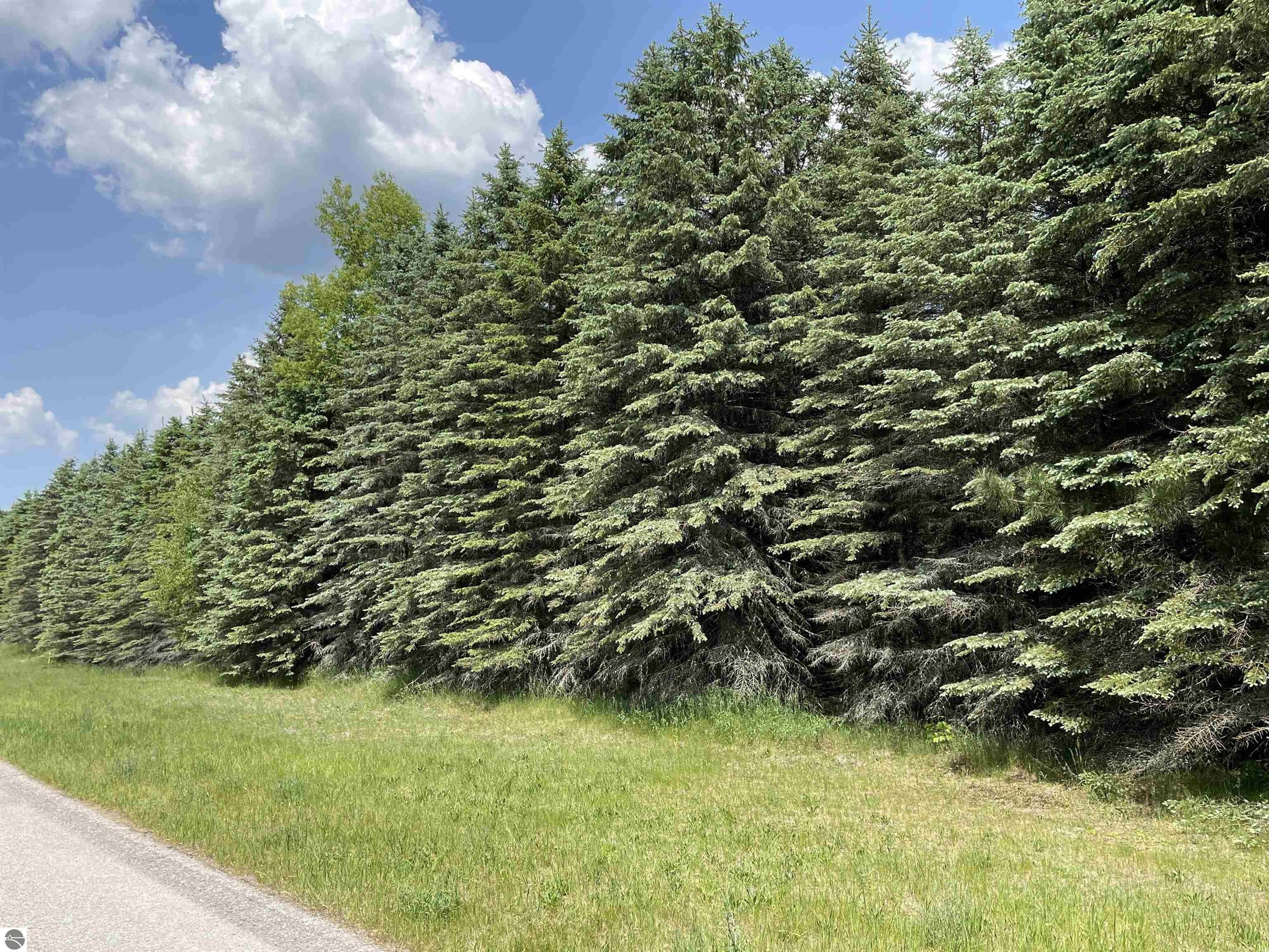 Buckley, Wexford County, MI Undeveloped Land, Homesites for sale