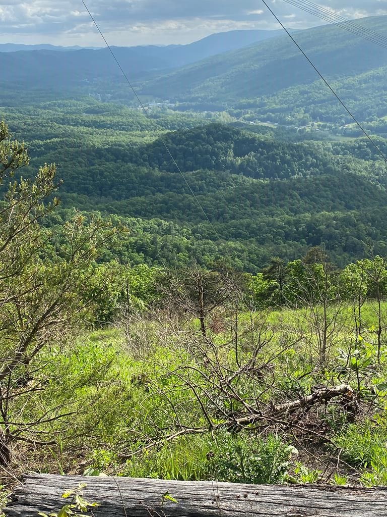 Bland, Bland County, VA Farms and Ranches for sale Property ID