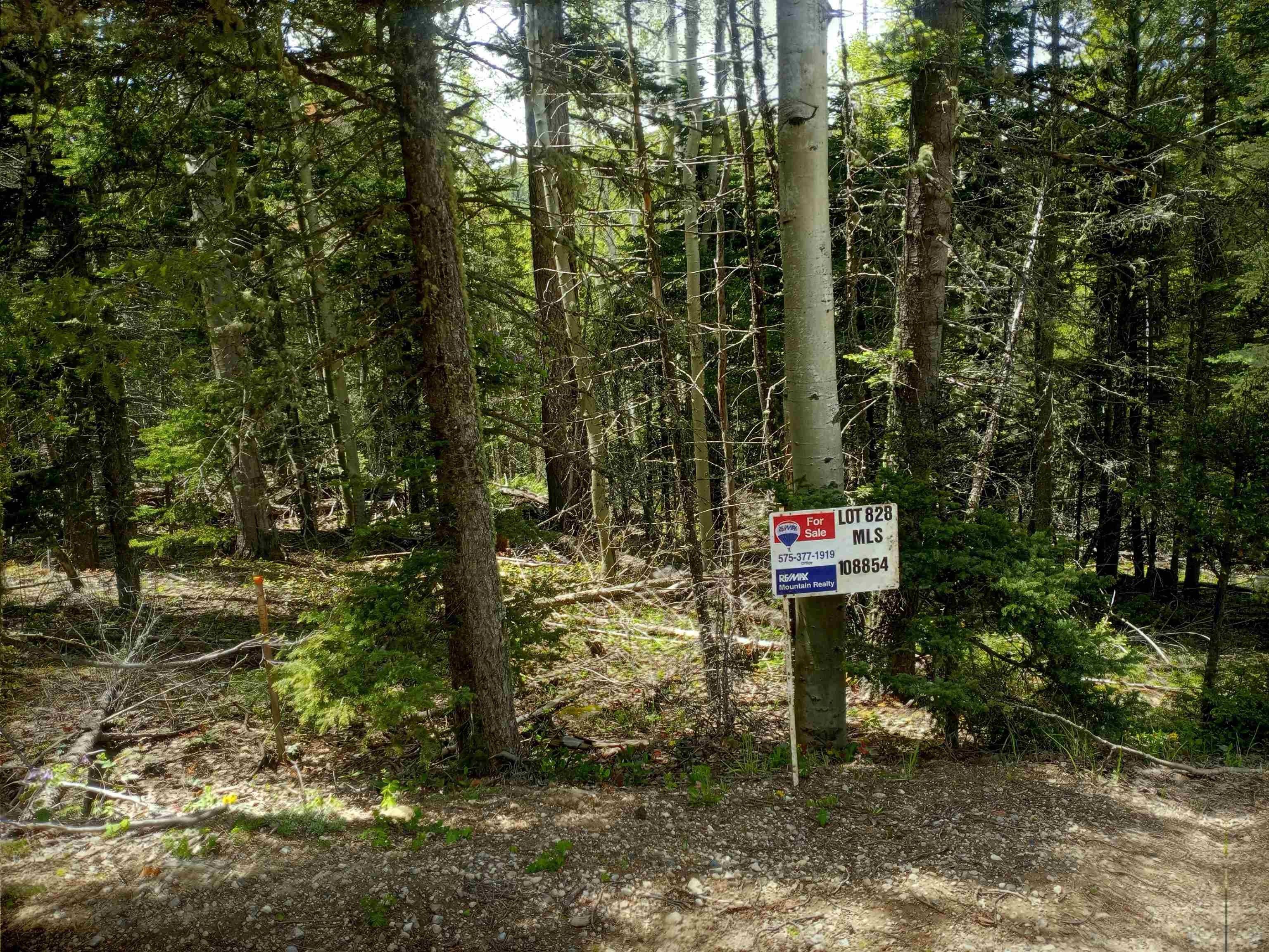 Angel Fire, Colfax County, NM Undeveloped Land, Homesites for sale