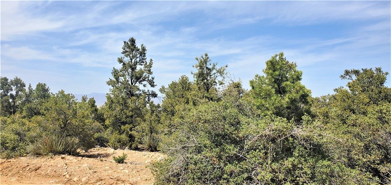 Hackberry, Mohave County, AZ Farms and Ranches for sale Property ID