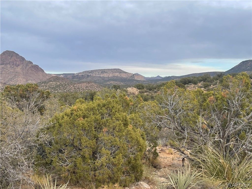 Kingman, Mohave County, AZ Farms and Ranches for sale Property ID