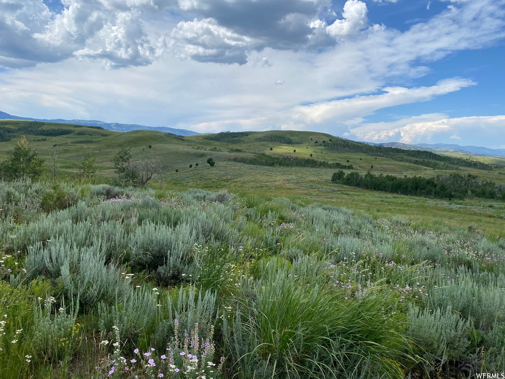 Avon, Cache County, UT Undeveloped Land for sale Property ID 417085113 LandWatch