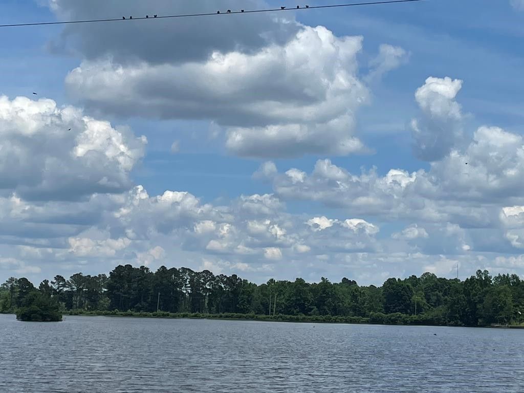 Americus, Sumter County, GA Farms and Ranches, Homesites for sale