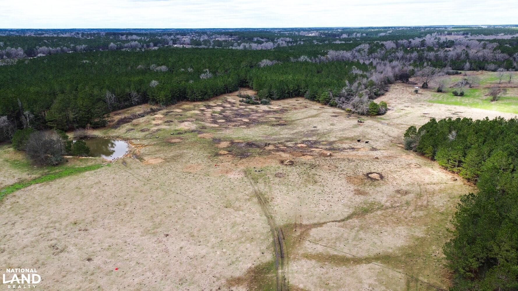 Prentiss, Jefferson Davis County, MS Farms and Ranches, Timberland