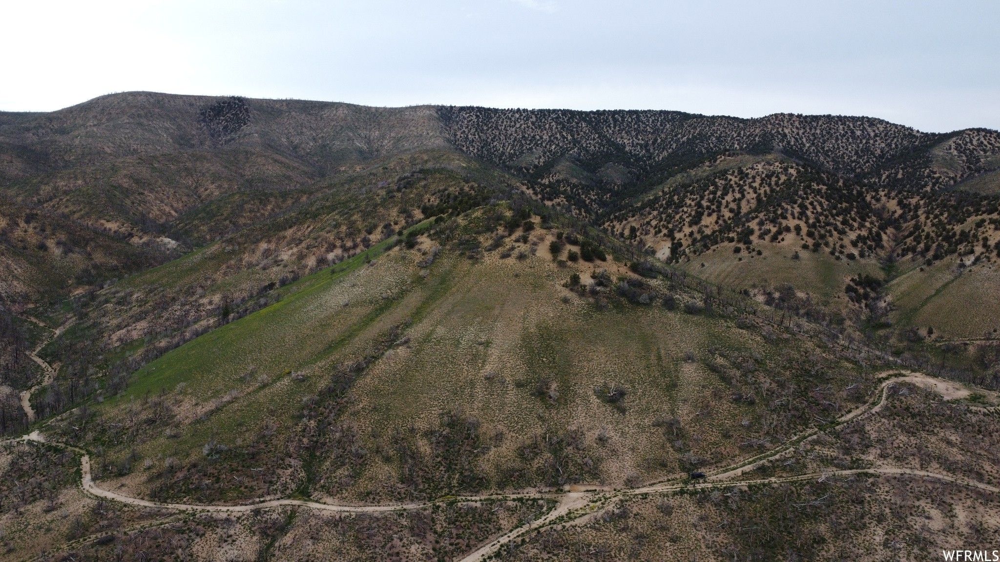 Duchesne, Duchesne County, UT Undeveloped Land for sale Property ID