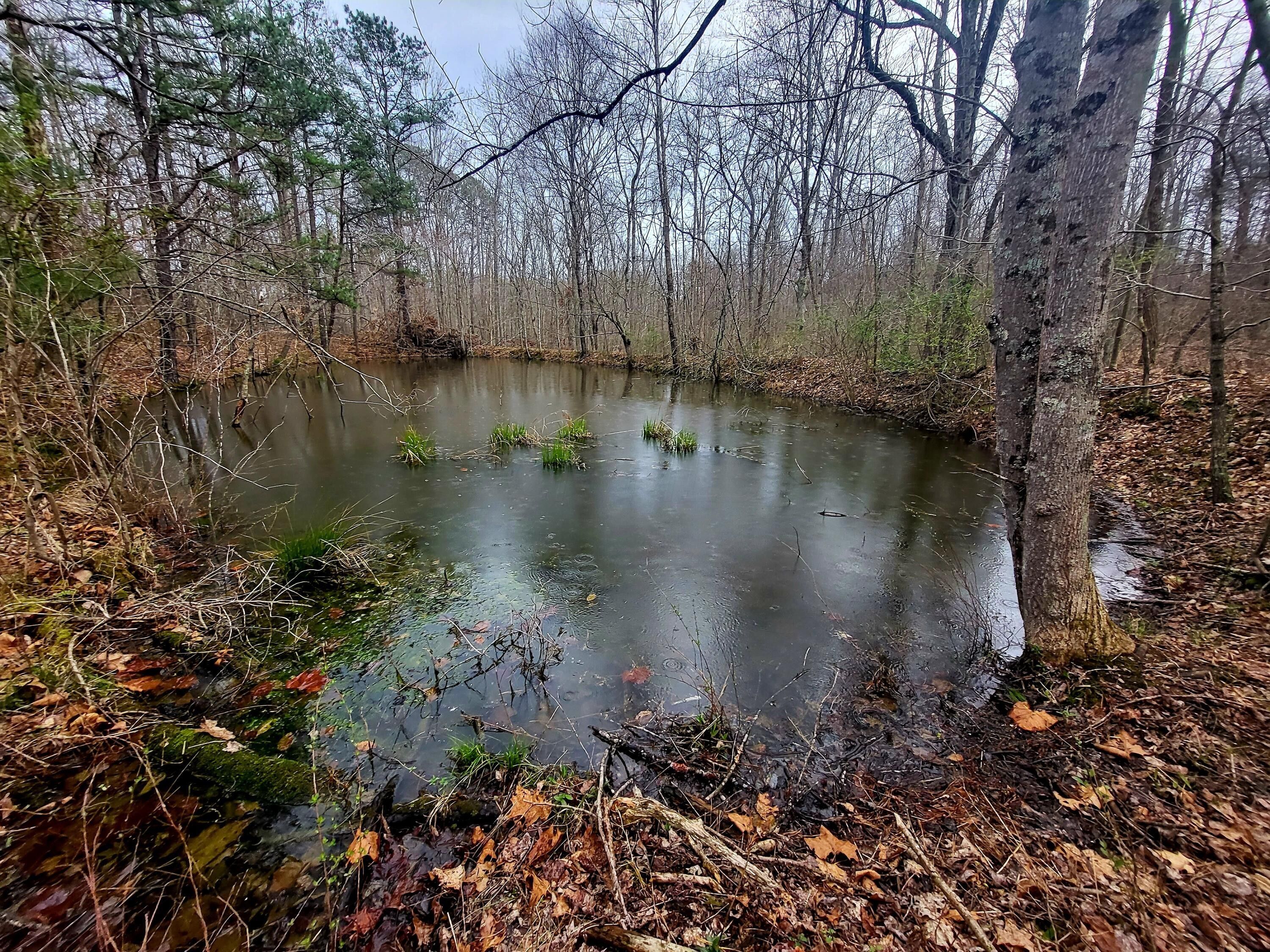 Jackson, Jackson County, OH for sale Property ID 416854476 LandWatch