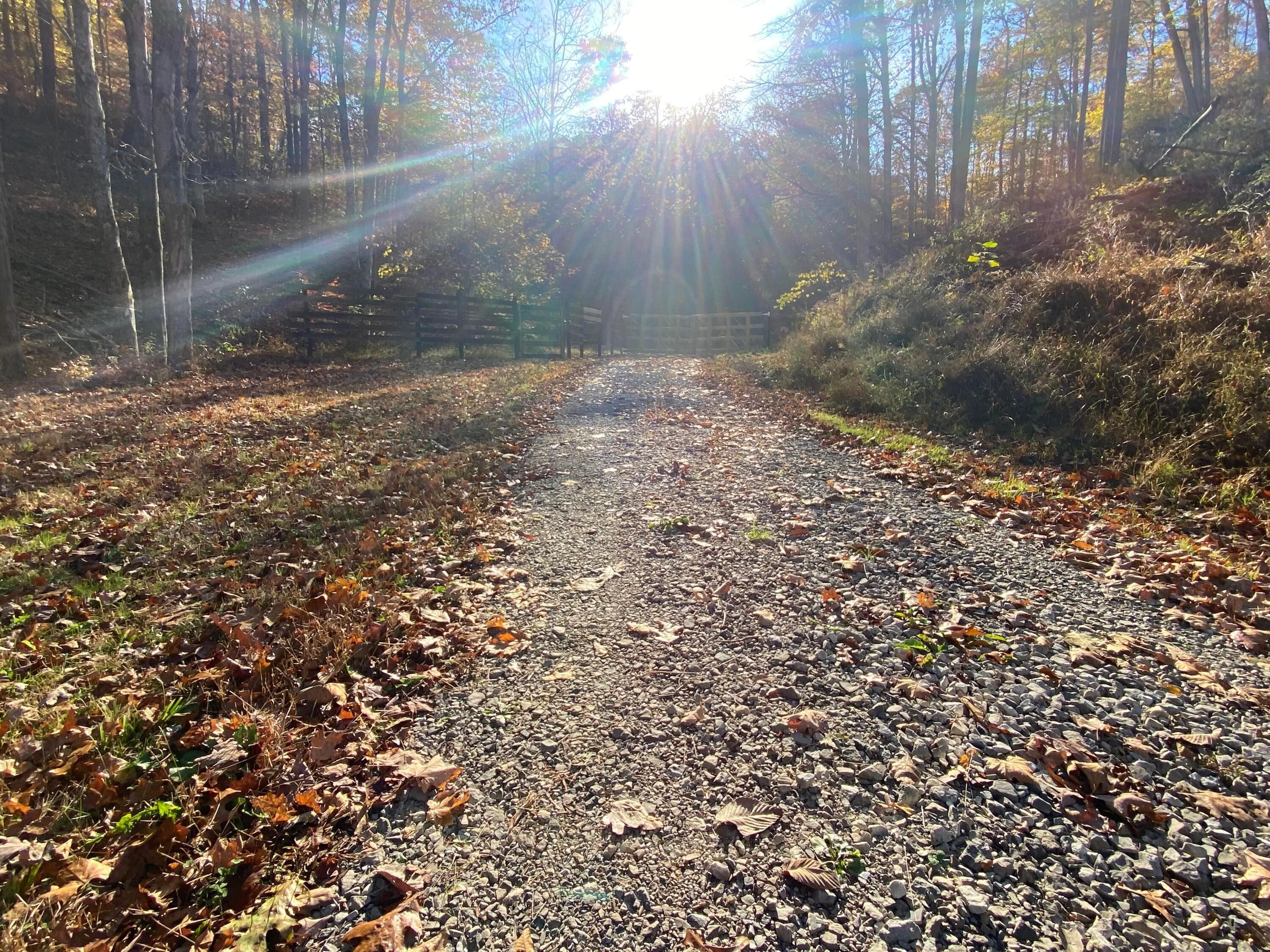 South Bloomingville, Hocking County, OH Undeveloped Land for sale