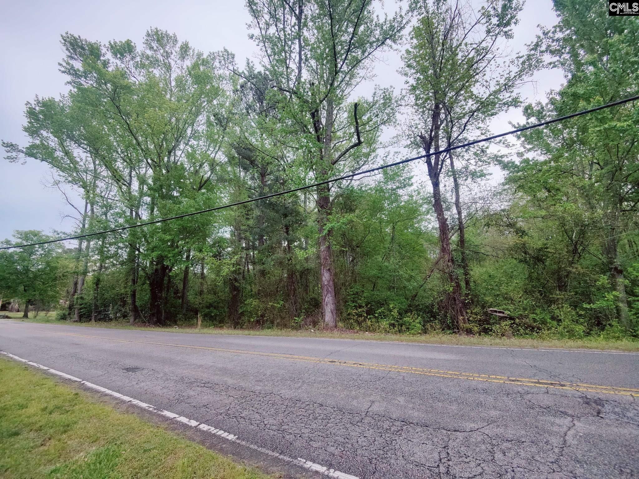 Mineral Springs Road, Lexington, SC 29073 MLS 560120 LandWatch