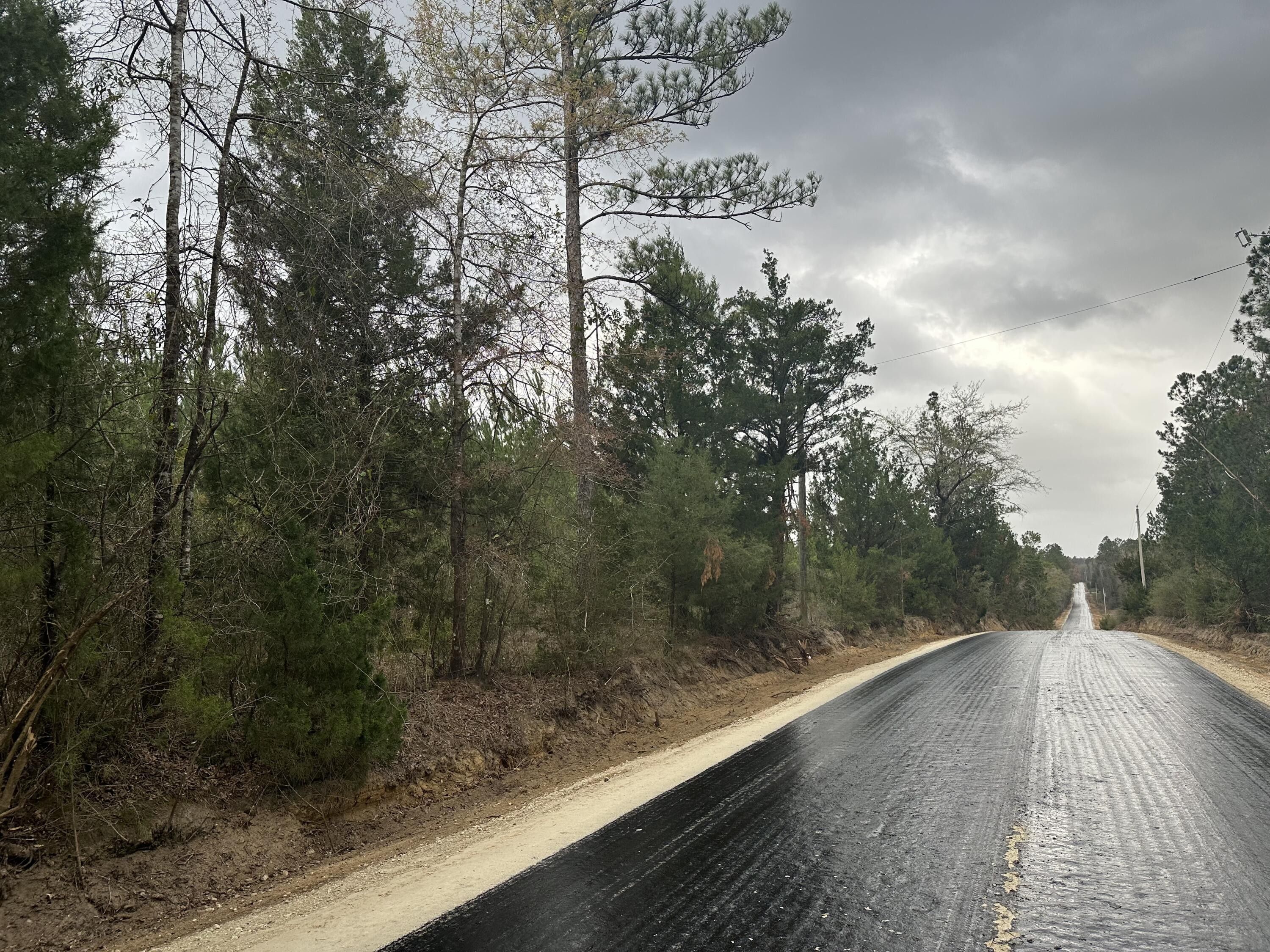 Caryville, Washington County, FL Undeveloped Land for sale Property ID