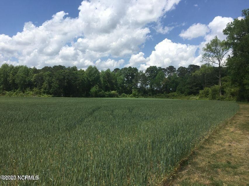Kinston, Lenoir County, NC Undeveloped Land for sale Property ID