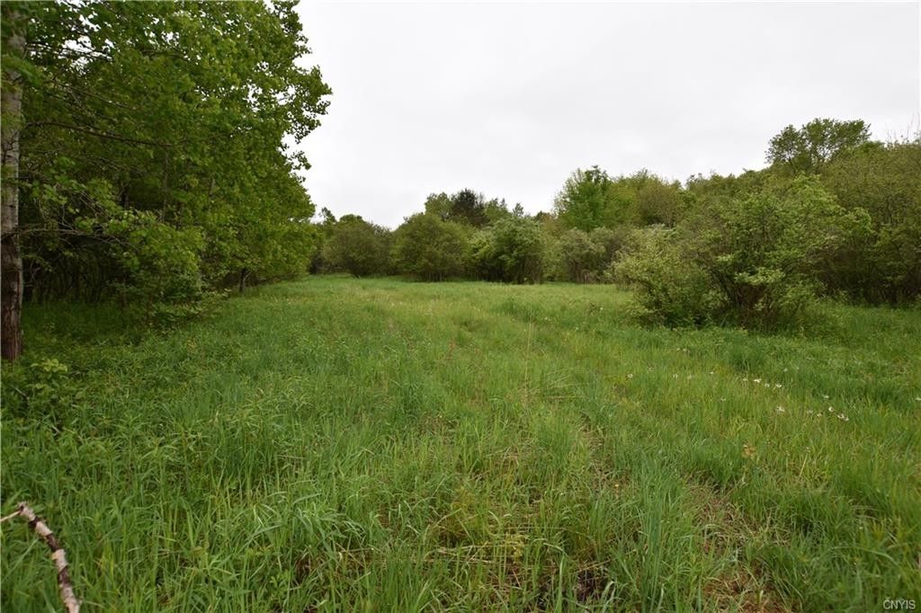 Lorraine, Jefferson County, NY Undeveloped Land, Lakefront Property