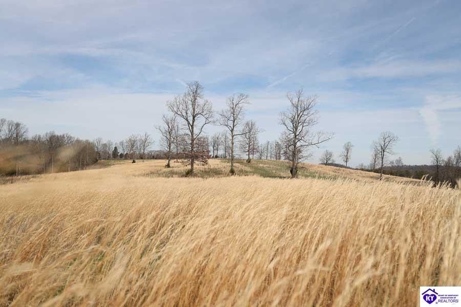 Upton, Hardin County, KY Undeveloped Land for sale Property ID