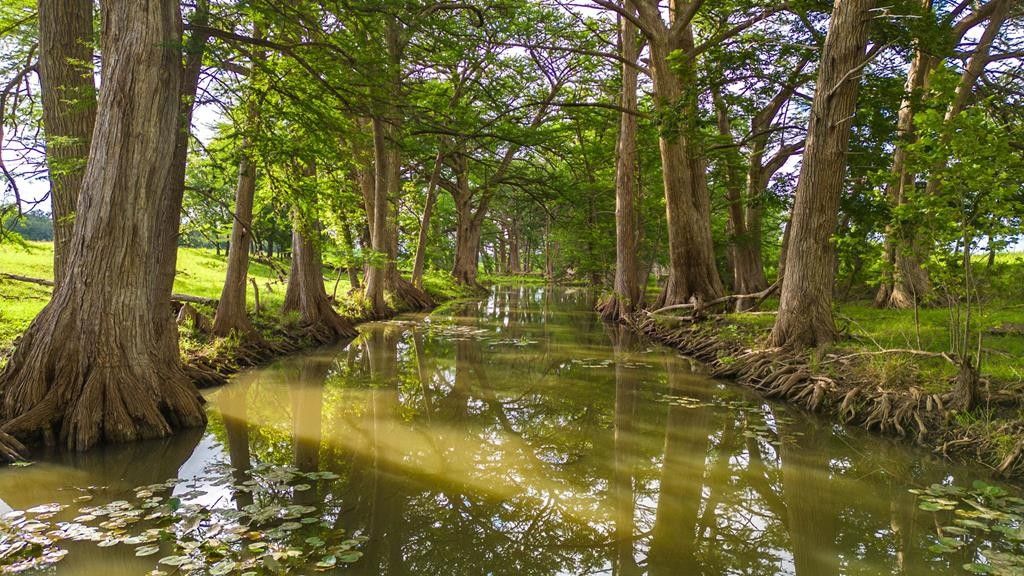 Utopia, Bandera County, TX Farms and Ranches, House for sale Property