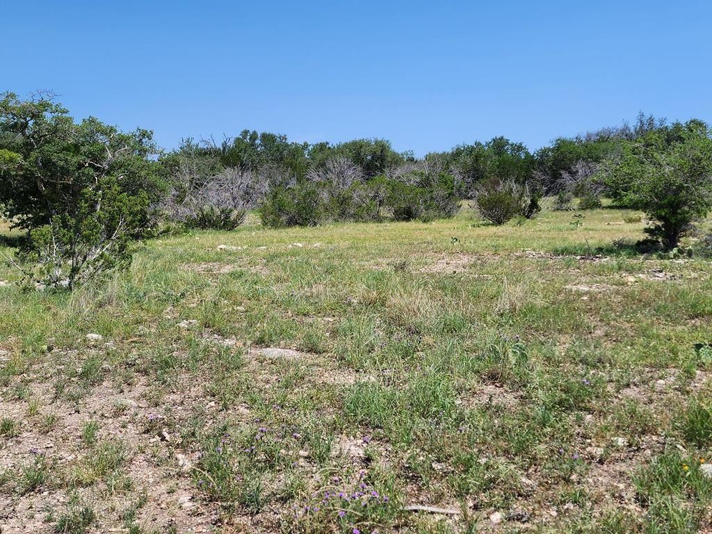 Junction, Kimble County, TX Farms and Ranches for sale Property ID