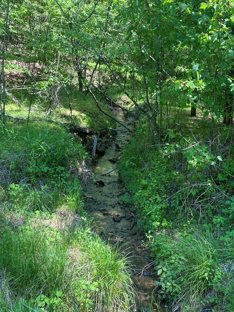 Murphy, Cherokee County, NC Undeveloped Land for sale Property ID