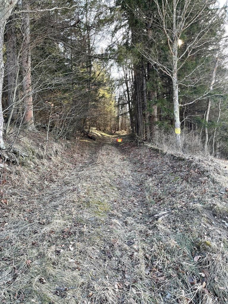 Galeton, Potter County, PA Undeveloped Land for sale Property ID
