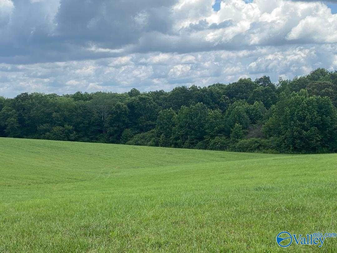 Florence, Lauderdale County, AL Undeveloped Land for sale Property ID 417090627 LandWatch