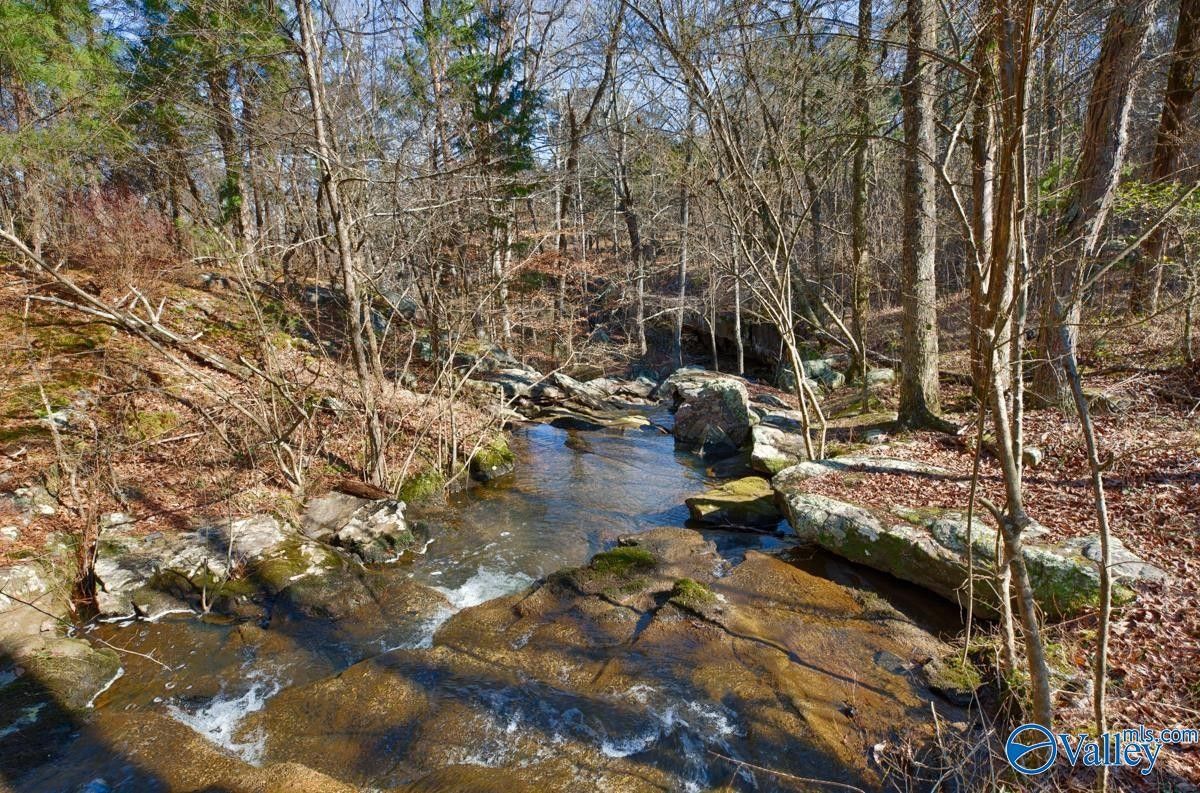 Pisgah, Jackson County, AL Undeveloped Land, Homesites for sale