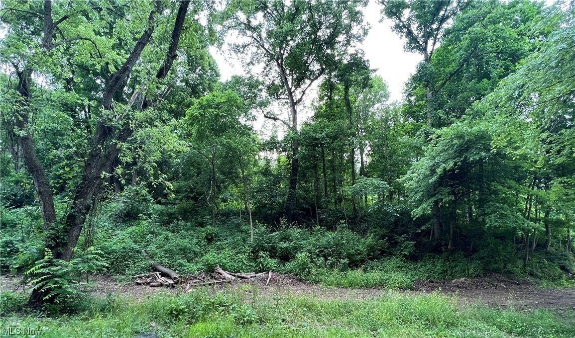 Zanesville, Muskingum County, OH Undeveloped Land, Homesites for sale Property ID 417090964