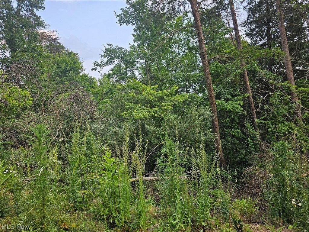 Ripley, Jackson County, WV Farms and Ranches for sale Property ID