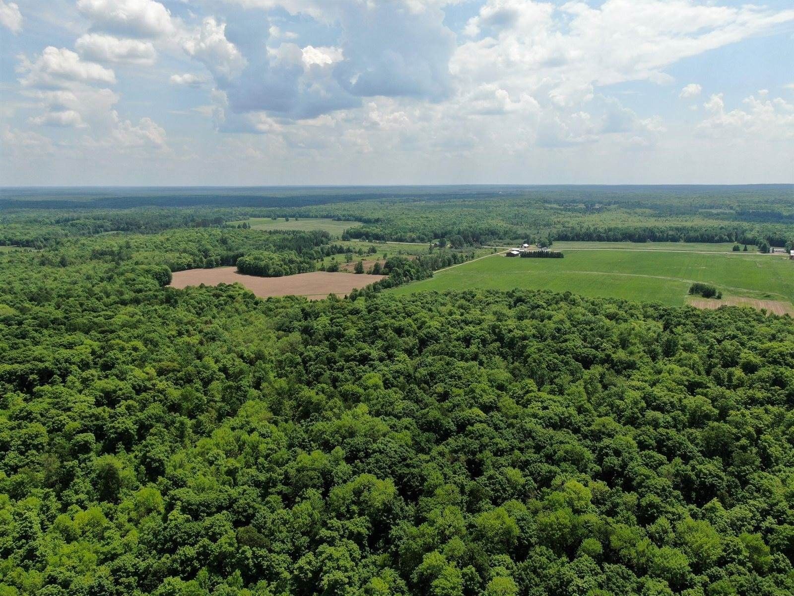 Prentice, Price County, WI Undeveloped Land for sale Property ID