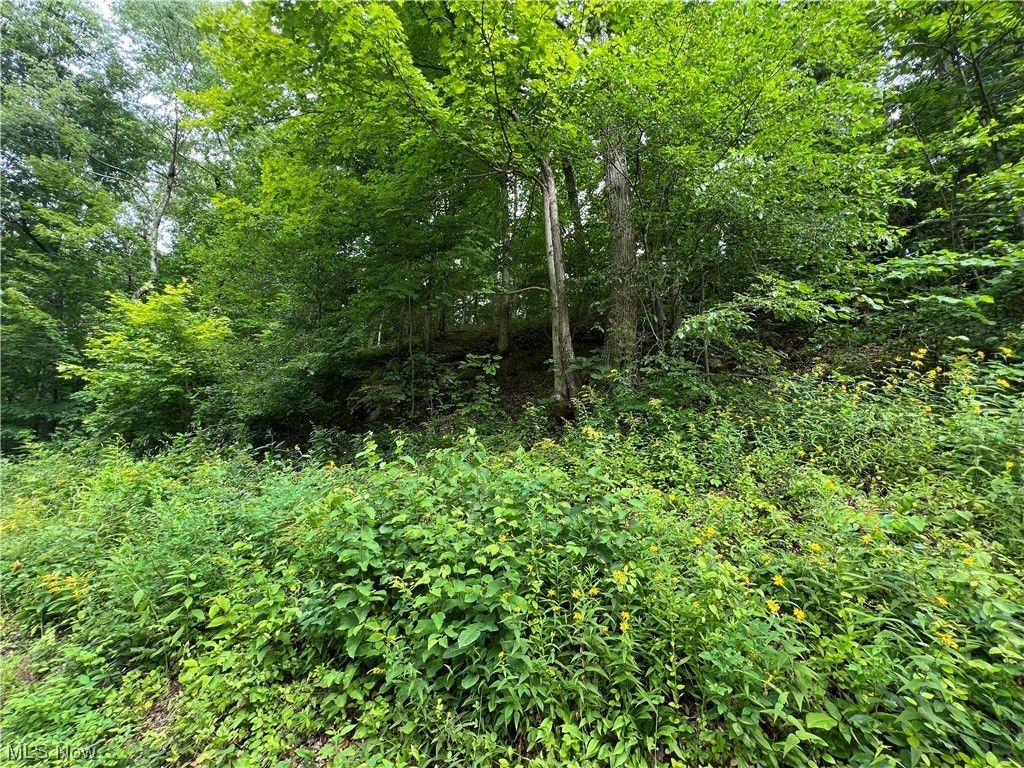 Portland, Meigs County, OH Undeveloped Land for sale Property ID