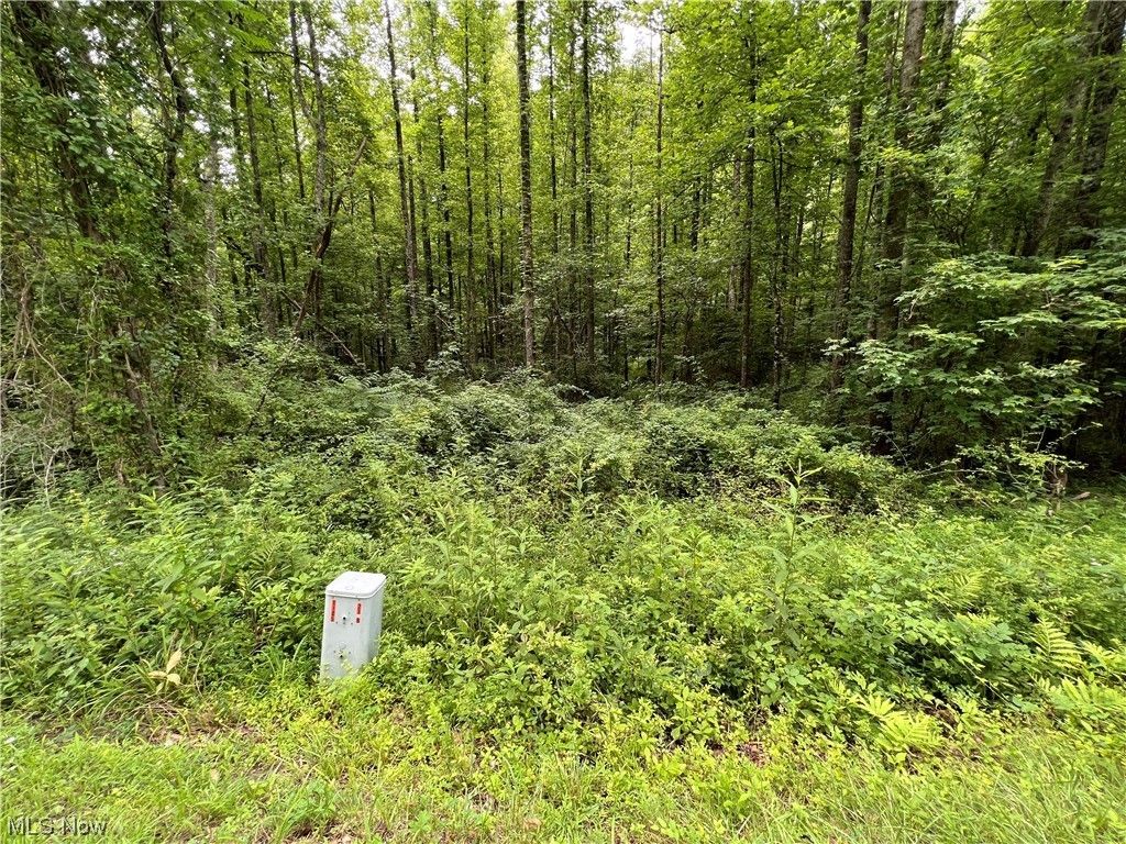 Portland, Meigs County, OH Undeveloped Land for sale Property ID