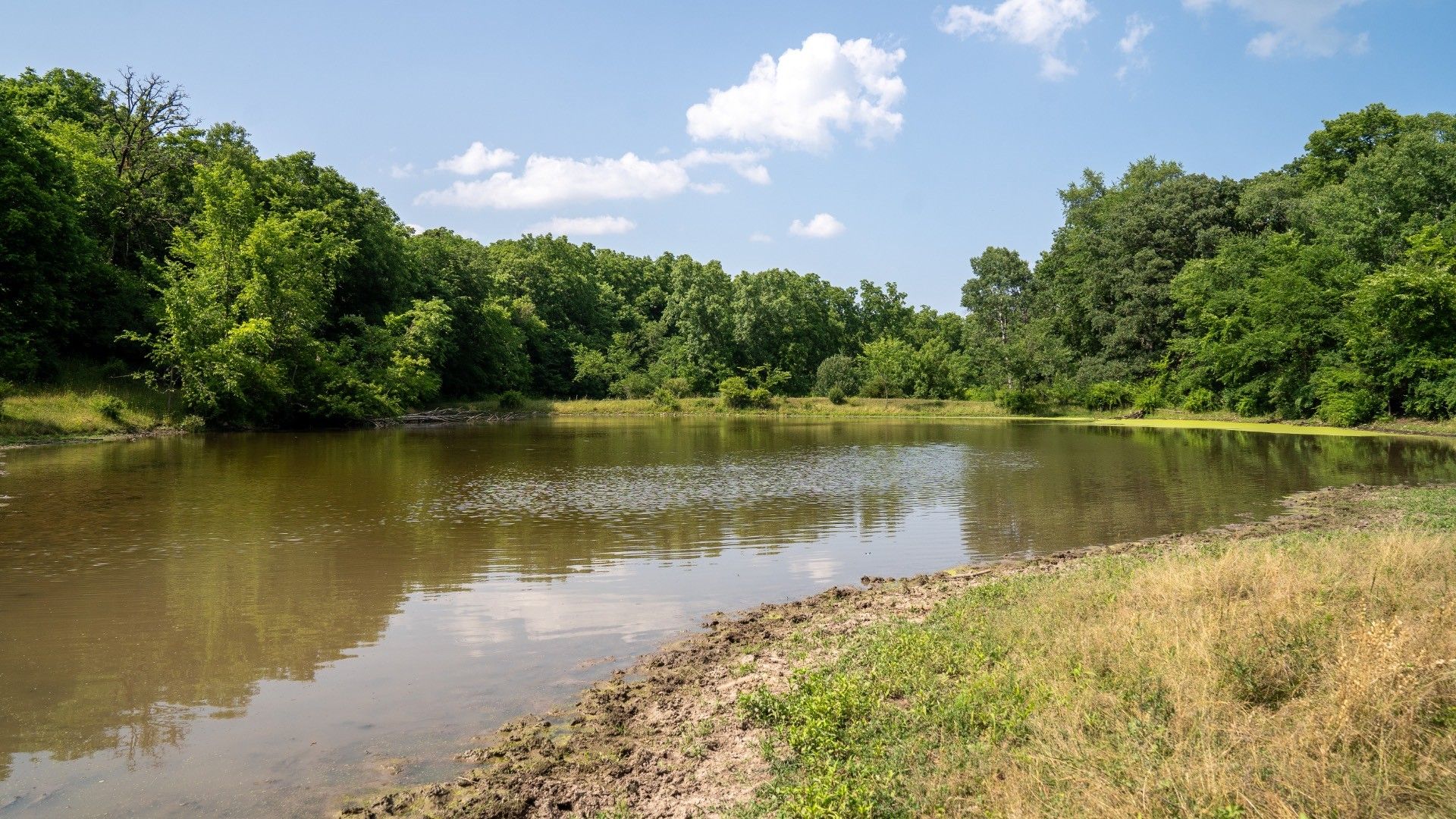 Waukon, Allamakee County, IA Farms and Ranches, House for sale Property