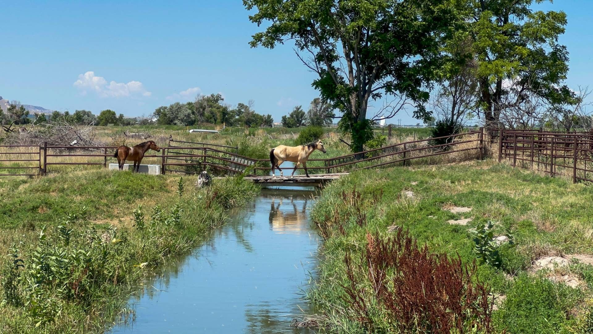 Minatare, Scotts Bluff County, NE Farms and Ranches for sale Property ID 417093476 LandWatch
