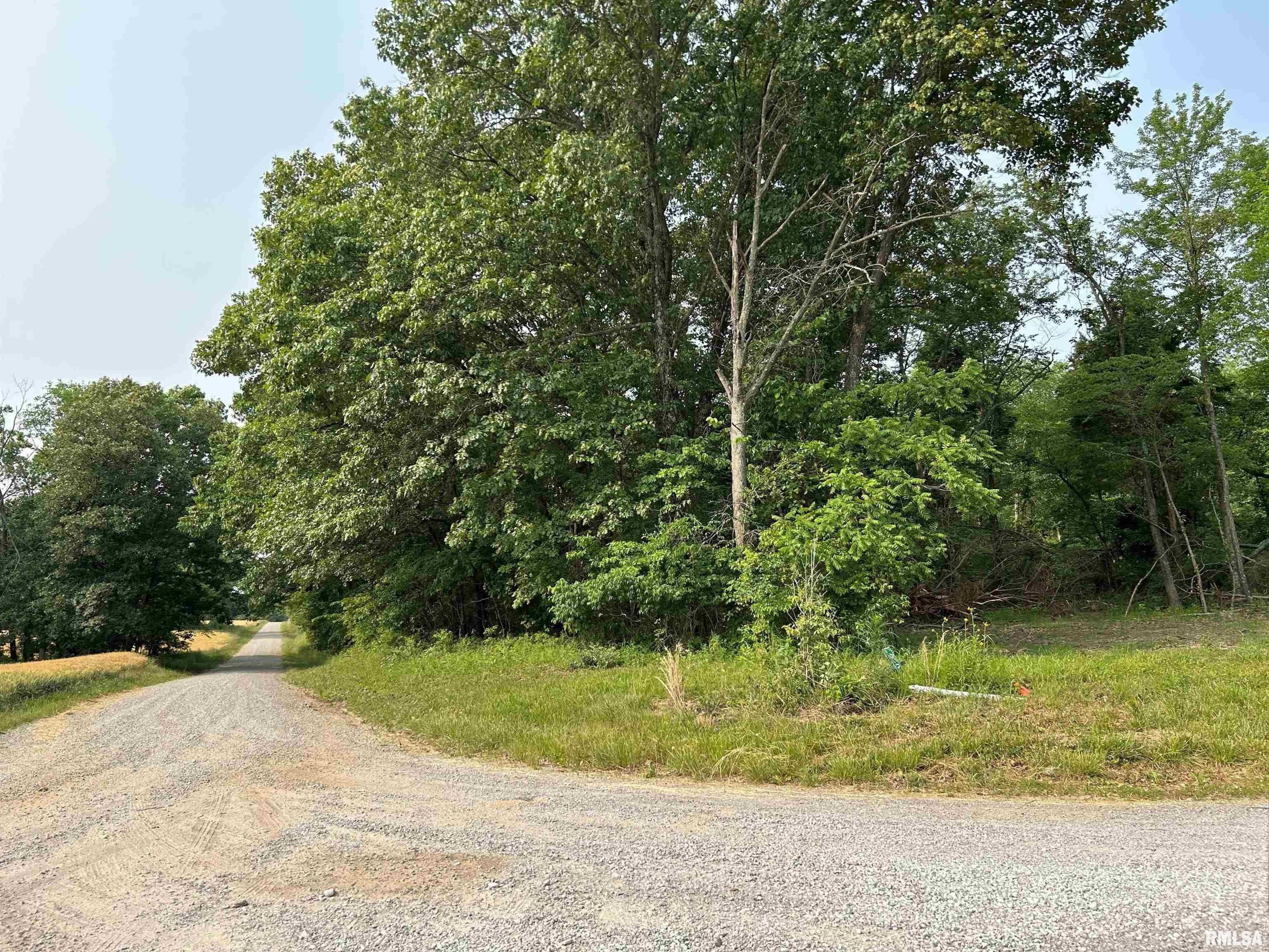 Macedonia, Hamilton County, IL Undeveloped Land for sale Property ID