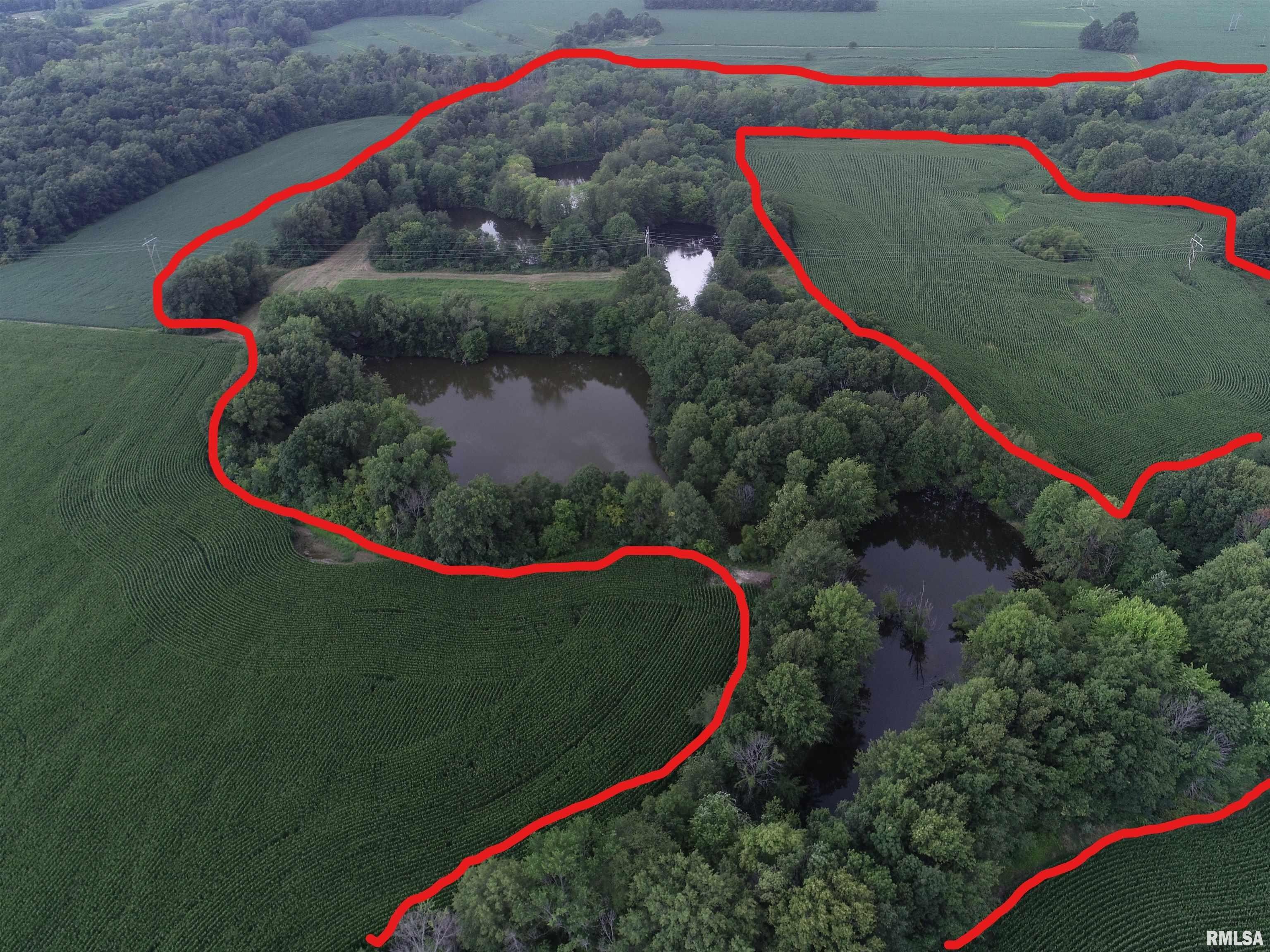 Brownstown, Fayette County, IL Undeveloped Land for sale Property ID