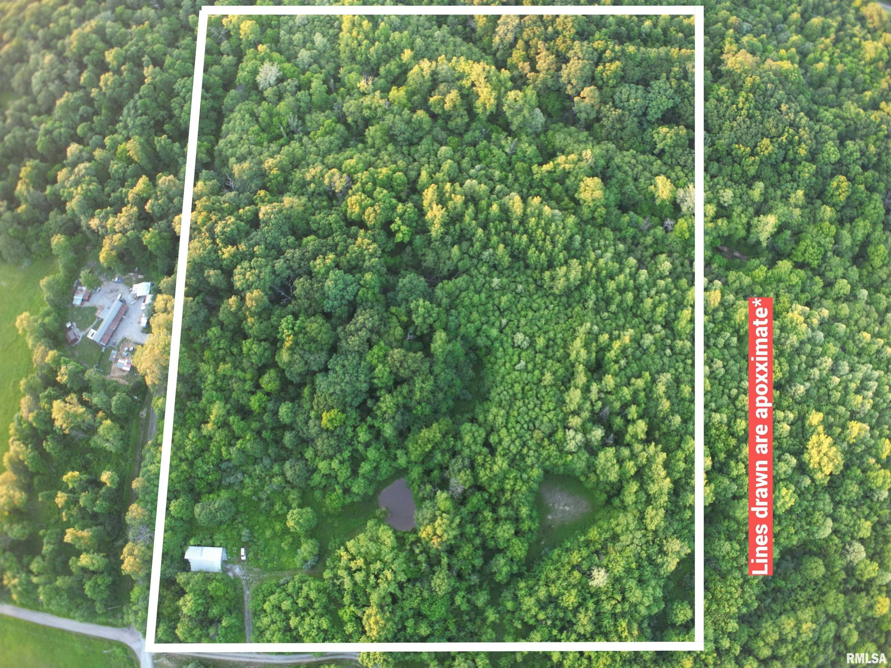 Texico, Marion County, IL Farms and Ranches for sale Property ID