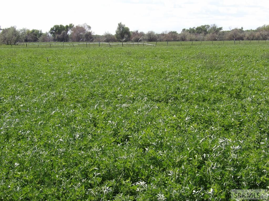 Firth, Bingham County, ID Farms and Ranches for sale Property ID