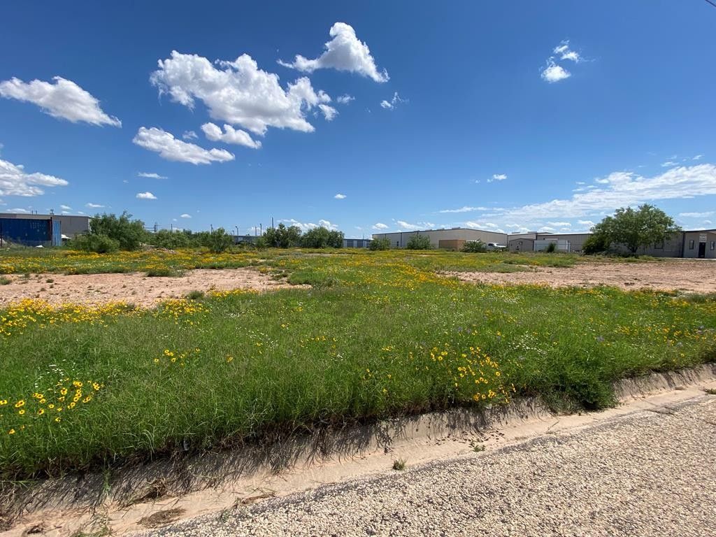 San Angelo, Tom Green County, TX Farms and Ranches, Homesites for sale