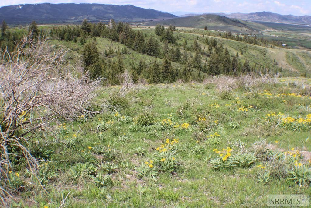 Soda Springs, Caribou County, ID Undeveloped Land for sale Property ID