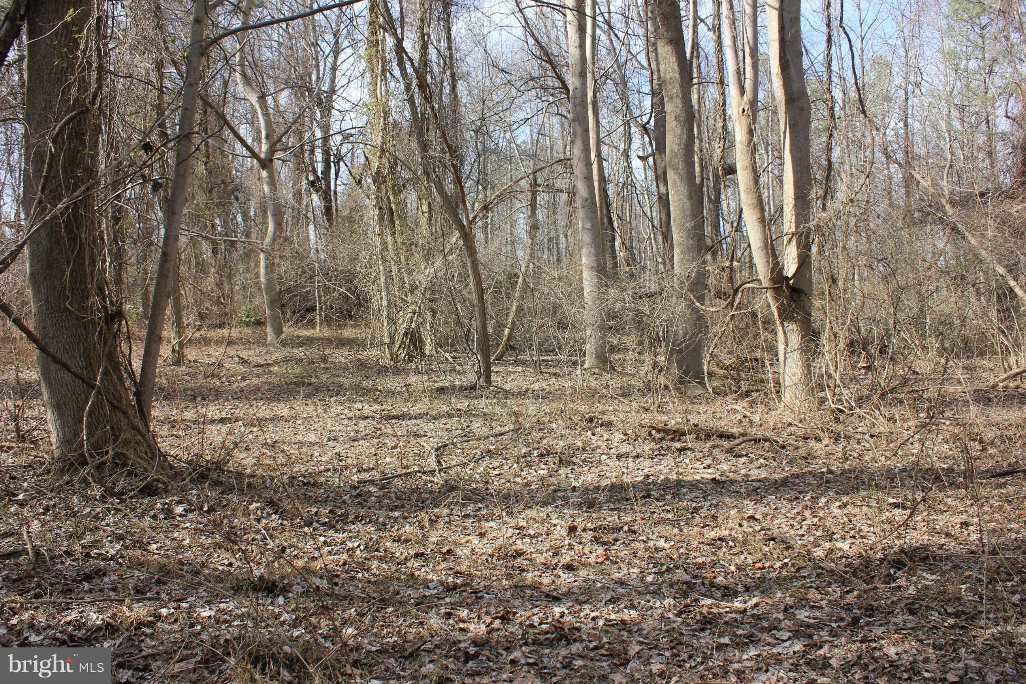 Prince Frederick, Calvert County, MD Undeveloped Land, Homesites for