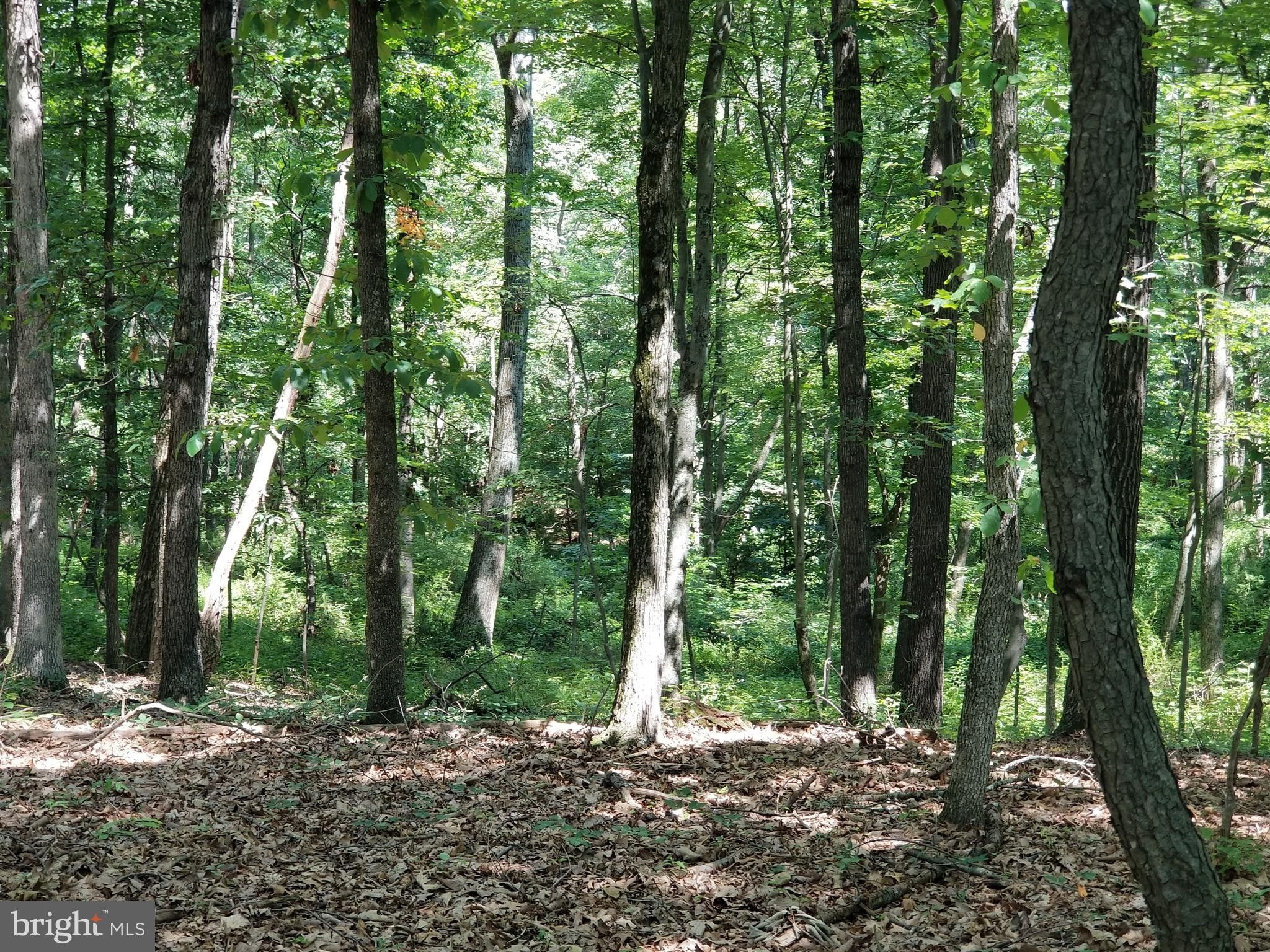 Mercersburg, Fulton County, PA Undeveloped Land, Homesites for sale