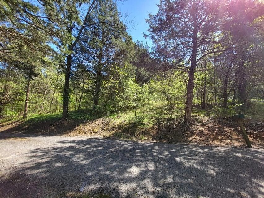 Dunlap, Sequatchie County, TN Undeveloped Land for sale Property ID