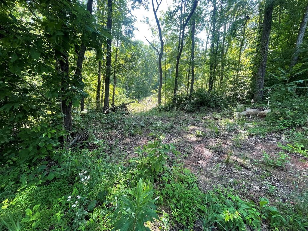 Sparta, White County, TN for sale Property ID 417096862 LandWatch