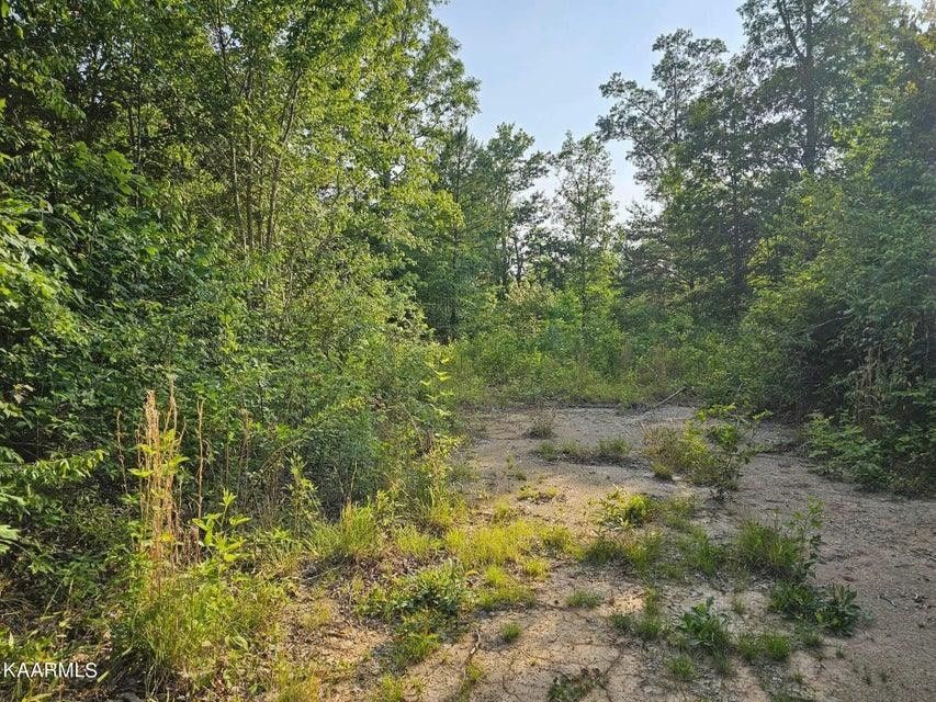 Robbins, Scott County, TN for sale Property ID 417097019 LandWatch