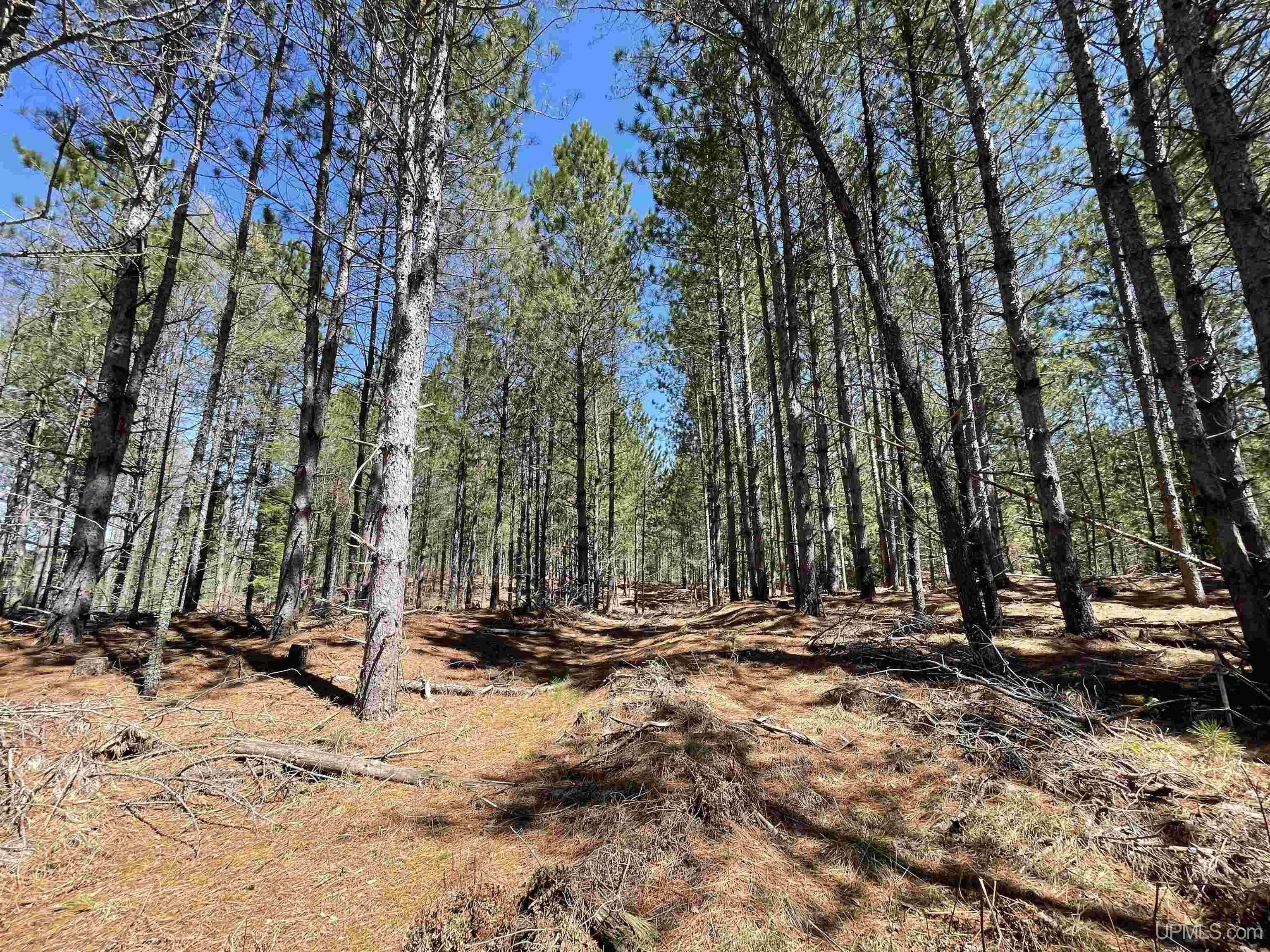 Hermansville, Menominee County, MI Undeveloped Land for sale Property