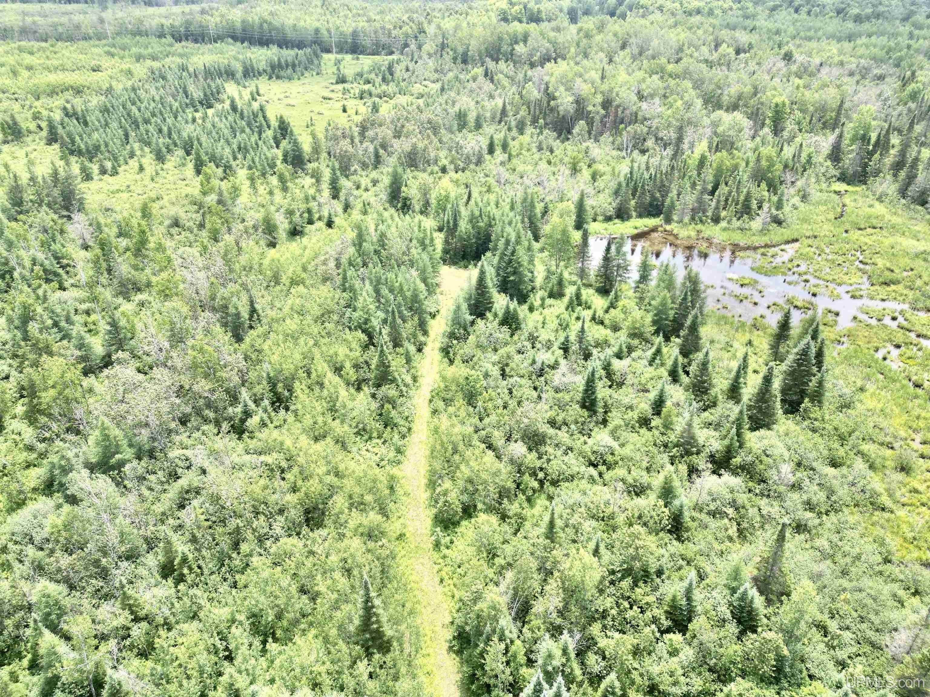 Cornell, Delta County, MI Undeveloped Land for sale Property ID