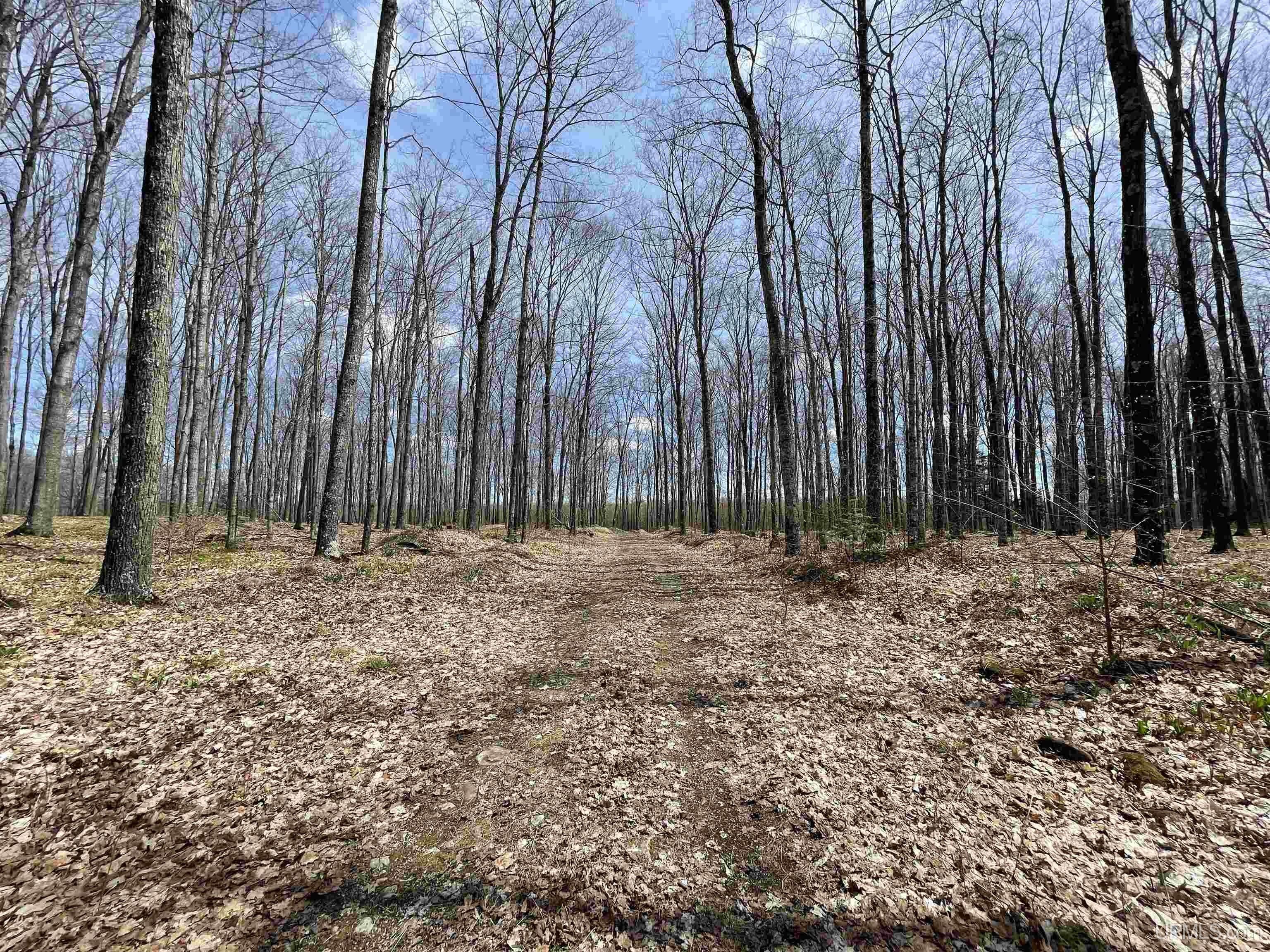 Hermansville, Menominee County, MI Undeveloped Land for sale Property