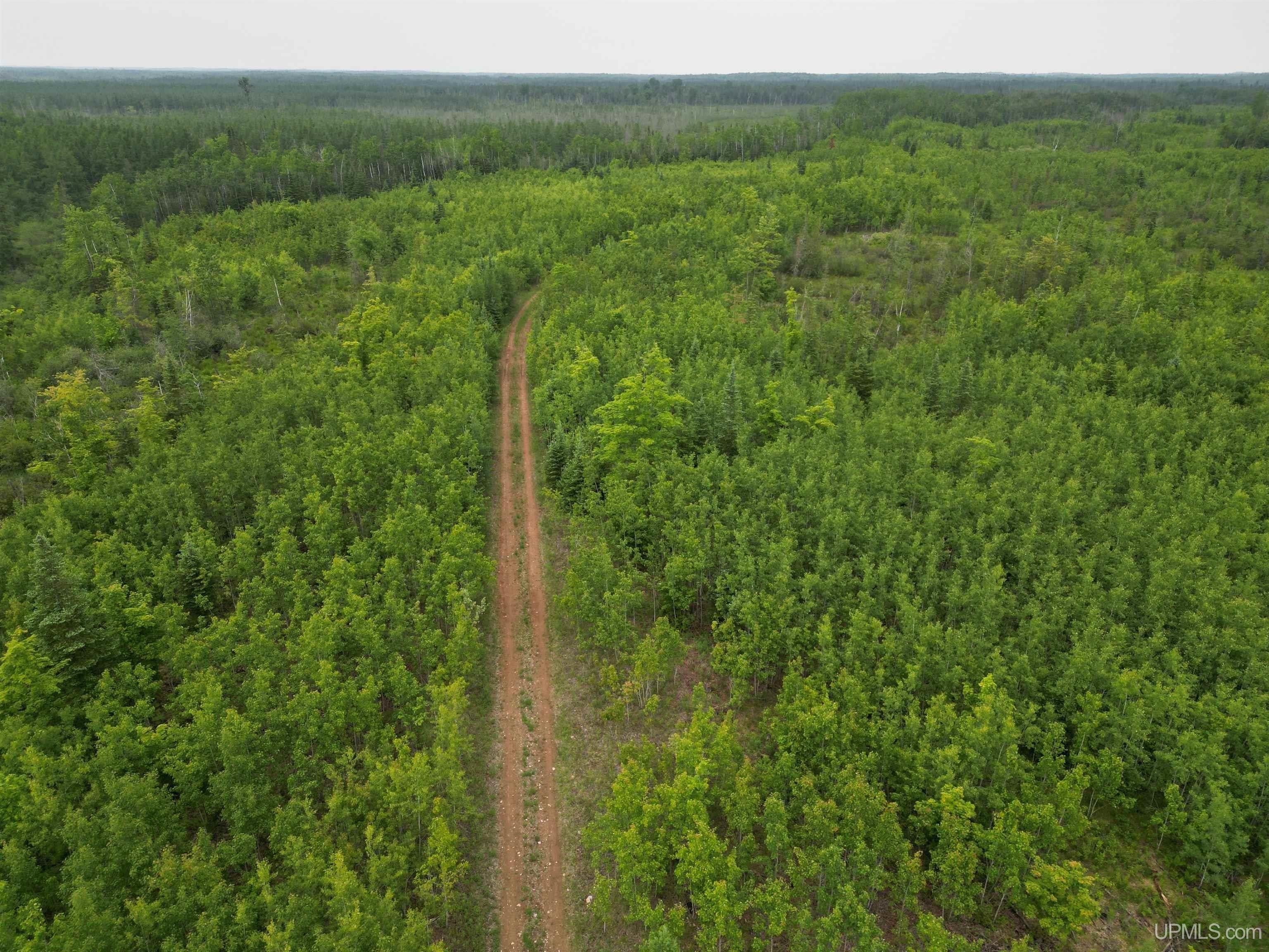 Gladstone, Delta County, MI Undeveloped Land for sale Property ID 417097139 LandWatch