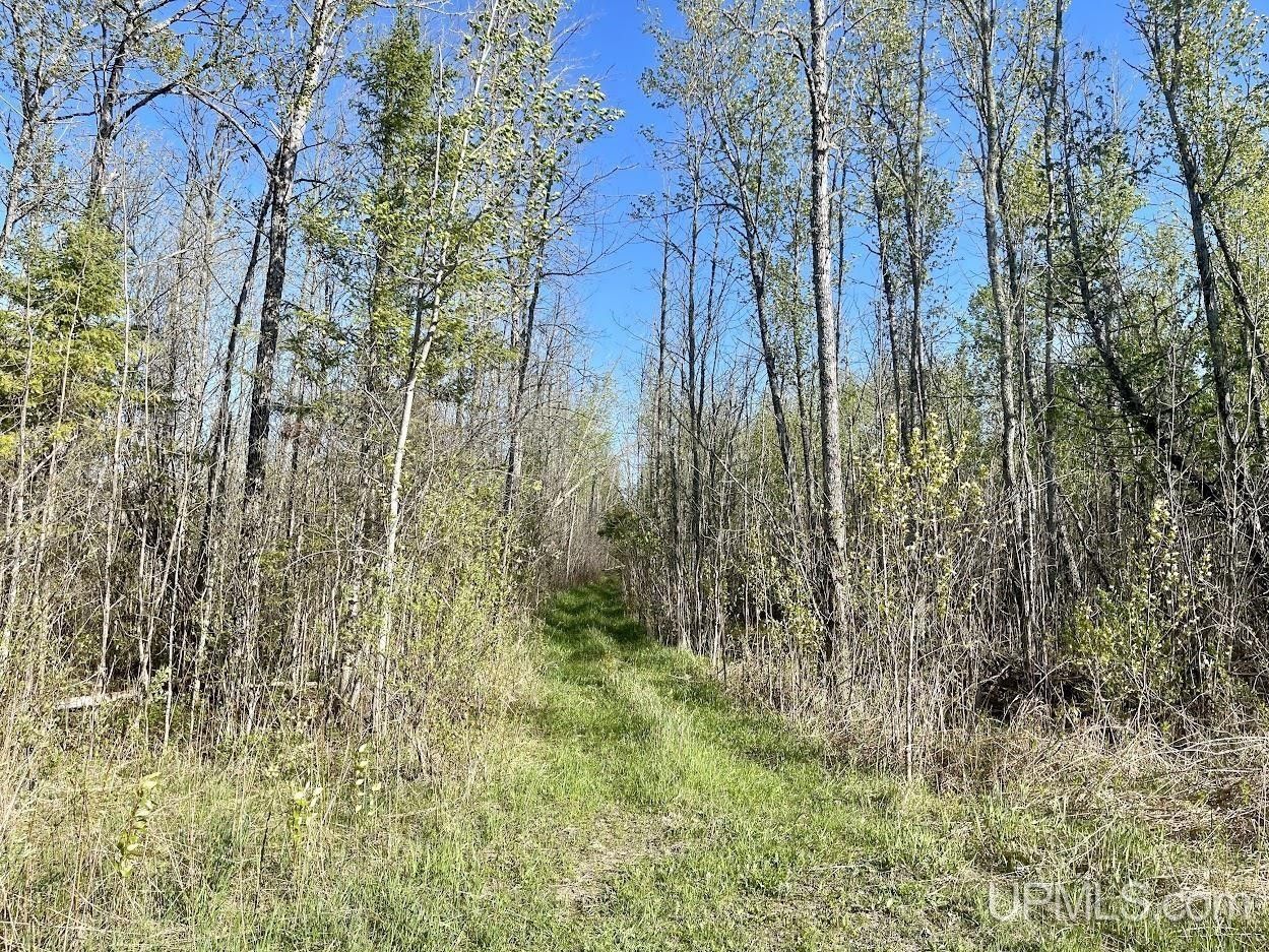 Rapid River, Delta County, MI Undeveloped Land for sale Property ID